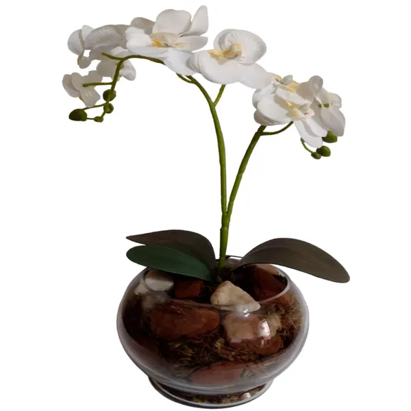 Foto 2 de Vaso Aquário Com Orquídea Sortida Vidro 35x28x14cm DF222 - Dila Flores