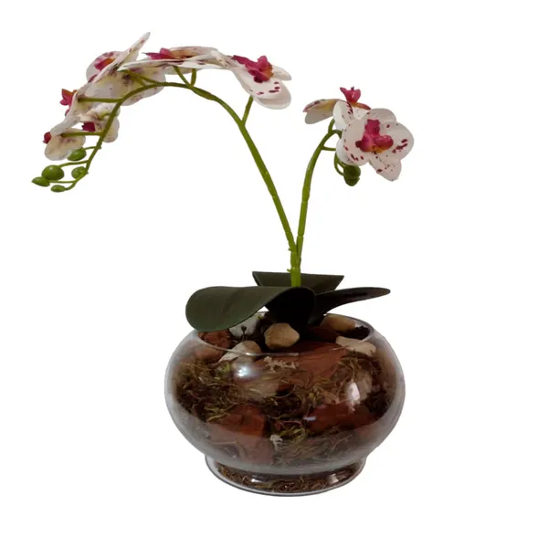 Foto 3 de Vaso Aquário Com Orquídea Sortida Vidro 35x28x14cm DF222 - Dila Flores