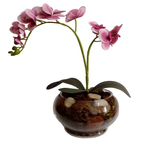 Foto 4 de Vaso Aquário Com Orquídea Sortida Vidro 35x28x14cm DF222 - Dila Flores