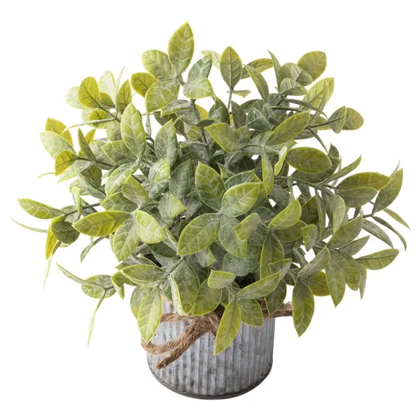 Foto 2 de Vaso Lata Suculenta Harmonia Laço Corda Ferro Plástico Sortido 8x8x21cm LM1764 - honeyhome