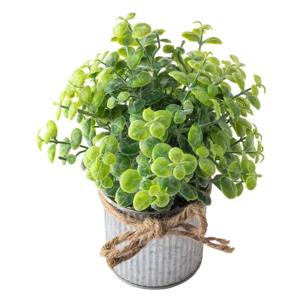 Foto 3 de Vaso Lata Suculenta Harmonia Laço Corda Ferro Plástico Sortido 8x8x21cm LM1764 - honeyhome