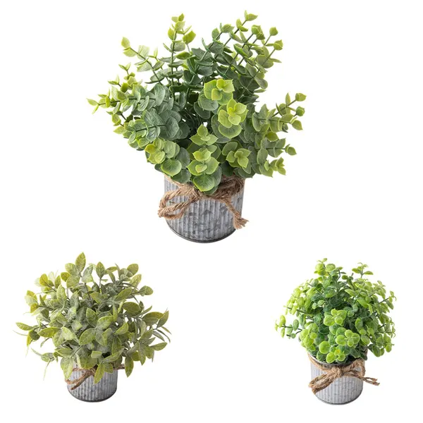Vaso Lata Suculenta Harmonia Laço Corda Ferro Plástico Sortido 8x8x21cm LM1764 - honeyhome