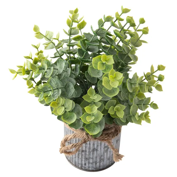 Foto 4 de Vaso Lata Suculenta Harmonia Laço Corda Ferro Plástico Sortido 8x8x21cm LM1764 - honeyhome