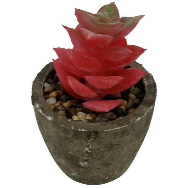 Foto 5 de Mini Suculenta Artificial Sortida Vaso 6x6,3cm / Planta 3,5x8cm LM0698 - honeyhome
