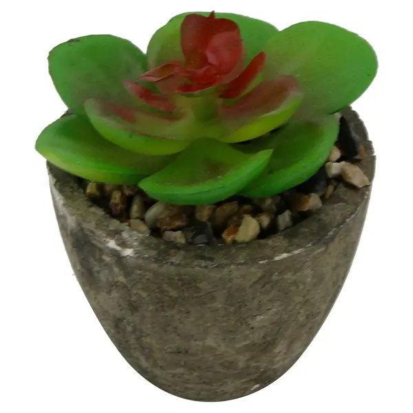 Foto 6 de Mini Suculenta Artificial Sortida Vaso 6x6,3cm / Planta 3,5x8cm LM0698 - honeyhome