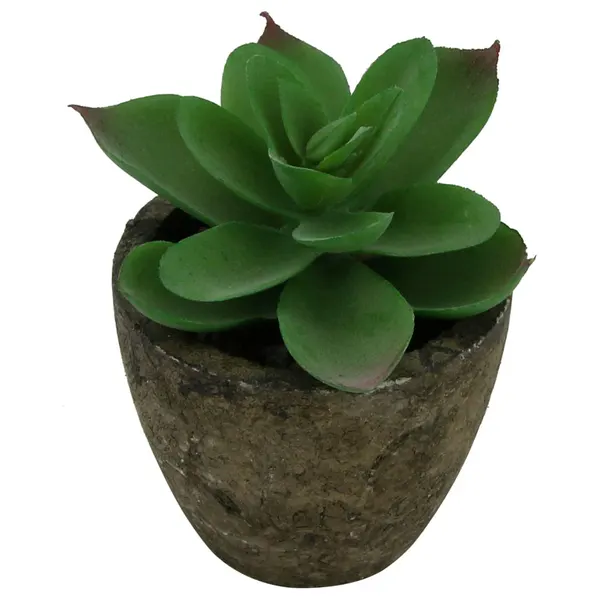 Foto 7 de Mini Suculenta Artificial Sortida Vaso 6x6,3cm / Planta 3,5x8cm LM0698 - honeyhome