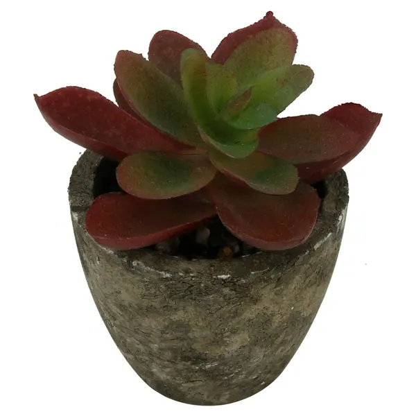 Foto 8 de Mini Suculenta Artificial Sortida Vaso 6x6,3cm / Planta 3,5x8cm LM0698 - honeyhome