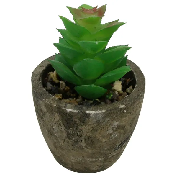 Foto 9 de Mini Suculenta Artificial Sortida Vaso 6x6,3cm / Planta 3,5x8cm LM0698 - honeyhome
