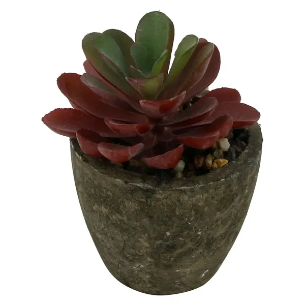 Foto 12 de Mini Suculenta Artificial Sortida Vaso 6x6,3cm / Planta 3,5x8cm LM0698 - honeyhome