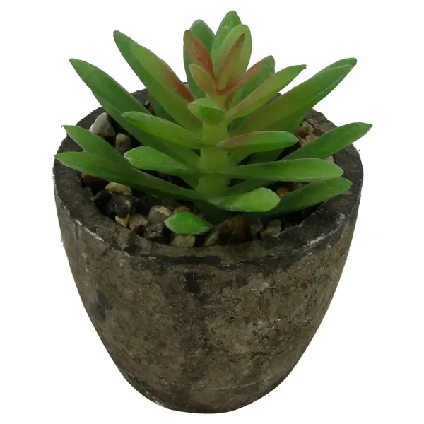 Foto 13 de Mini Suculenta Artificial Sortida Vaso 6x6,3cm / Planta 3,5x8cm LM0698 - honeyhome