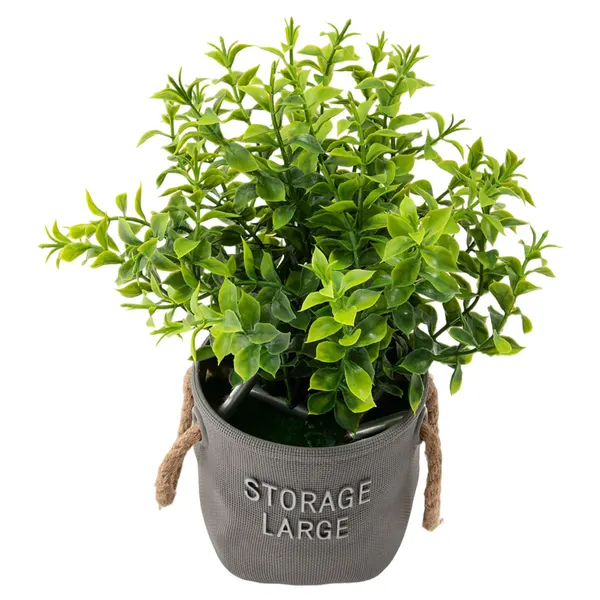 Foto 3 de Vaso Alças Planta Sortida Harmonia Plástico 10x10x23,5cm LM3721 - honeyhome