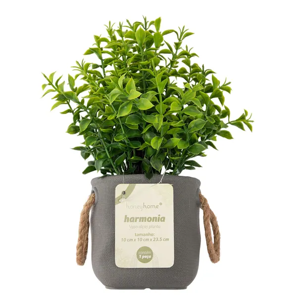 Vaso Alças Planta Sortida Harmonia Plástico 10x10x23,5cm LM3721 - honeyhome