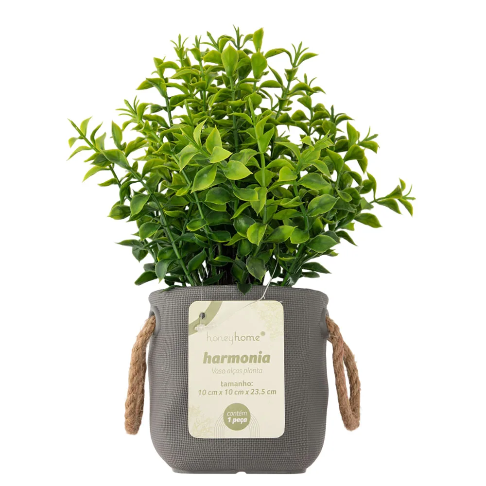 Vaso Alças Planta Sortida Harmonia Plástico 10x10x23,5cm LM3721 - honeyhome