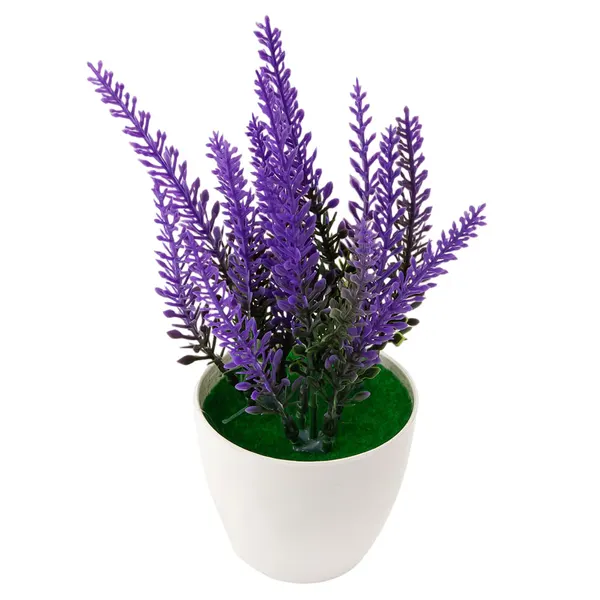 Foto 2 de Vaso Lavanda Harmonia Plástico E Pvc 6,5x6,5x17cm Ref.LM3726 honeyhome