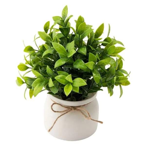 Foto 2 de Vaso com Plantas Sortidas Harmonia Plástico PP e PVC 9,5x9,5x20cm LM3724 - honeyhome