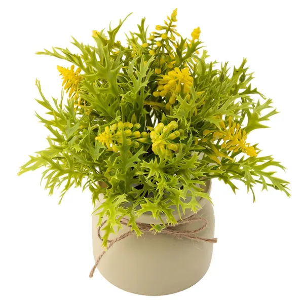 Foto 4 de Vaso com Plantas Sortidas Harmonia Plástico PP e PVC 9,5x9,5x20cm LM3724 - honeyhome