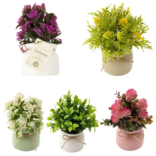 Vaso com Plantas Sortidas Harmonia Plástico PP e PVC 9,5x9,5x20cm LM3724 - honeyhome