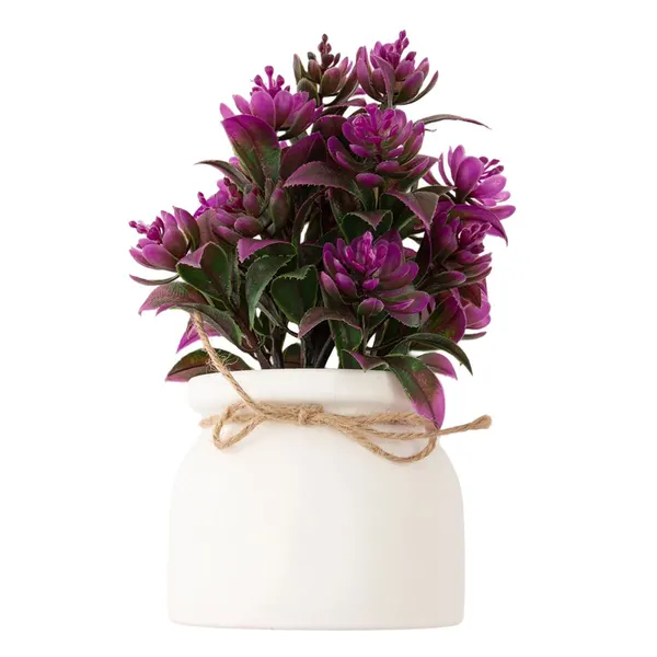 Foto 8 de Vaso com Plantas Sortidas Harmonia Plástico PP e PVC 9,5x9,5x20cm LM3724 - honeyhome