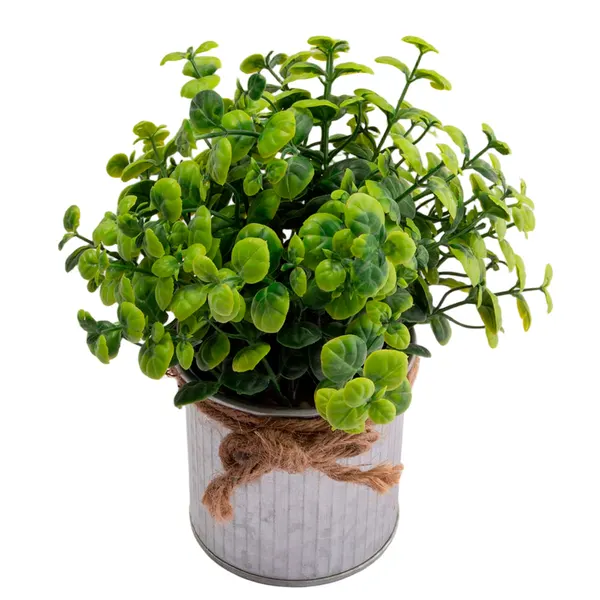 Foto 2 de Vaso Plantas Sortido Harmonia Ferro e Plástico PE 8x8x18cm LM3810 - honeyhome