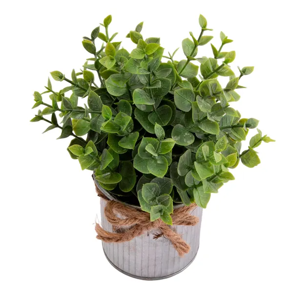 Foto 3 de Vaso Plantas Sortido Harmonia Ferro e Plástico PE 8x8x18cm LM3810 - honeyhome