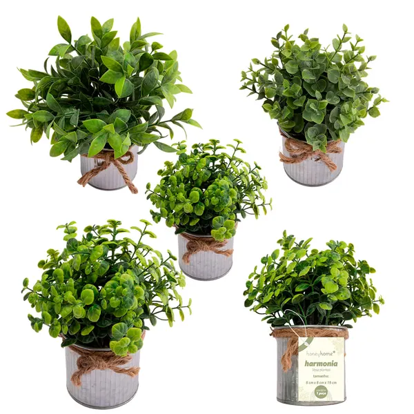 Vaso Plantas Sortido Harmonia Ferro e Plástico PE 8x8x18cm LM3810 - honeyhome