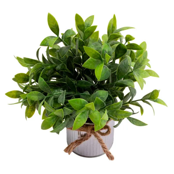 Foto 4 de Vaso Plantas Sortido Harmonia Ferro e Plástico PE 8x8x18cm LM3810 - honeyhome
