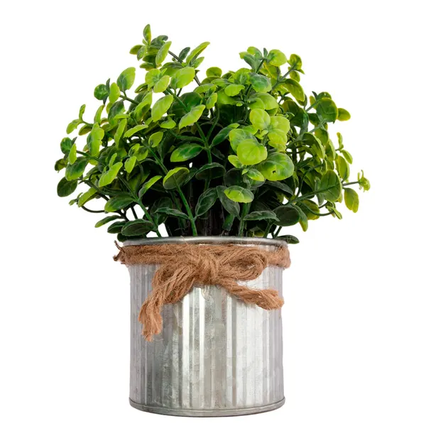 Foto 6 de Vaso Plantas Sortido Harmonia Ferro e Plástico PE 8x8x18cm LM3810 - honeyhome