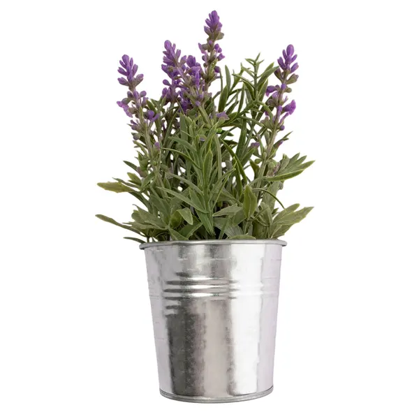 Foto 5 de Vaso Lavanda Harmonia Ferro e Plástico PE Sortido 9,5x9,5x25cm LM3818 - honeyhome