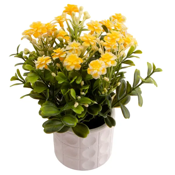 Foto 5 de Vaso de Flores Harmonia Sortido Polpa e Plástico PE 8x8x22cm LM3820 - honeyhome