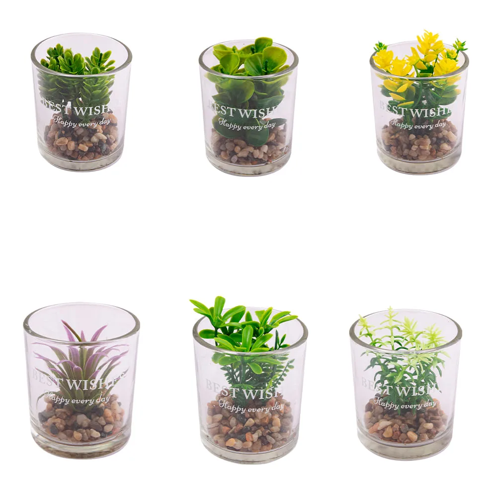 Vaso Suculenta Sortido Harmonia Vidro E Plástico Pe 7x7x8cm LM3821 - honeyhome