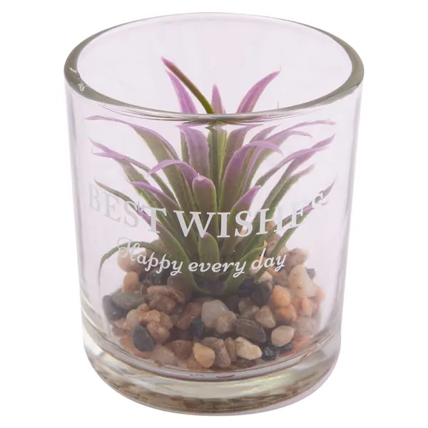 Foto 4 de Vaso Suculenta Sortido Harmonia Vidro E Plástico Pe 7x7x8cm LM3821 - honeyhome