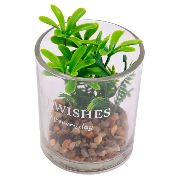 Foto 5 de Vaso Suculenta Sortido Harmonia Vidro E Plástico Pe 7x7x8cm LM3821 - honeyhome