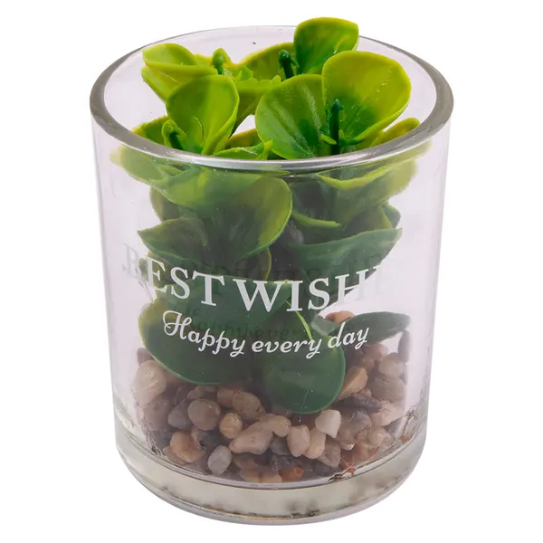 Foto 6 de Vaso Suculenta Sortido Harmonia Vidro E Plástico Pe 7x7x8cm LM3821 - honeyhome
