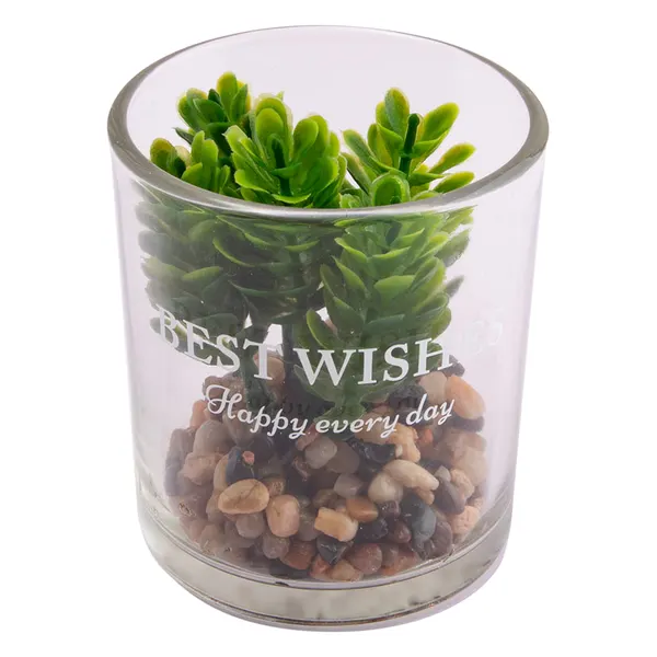 Foto 7 de Vaso Suculenta Sortido Harmonia Vidro E Plástico Pe 7x7x8cm LM3821 - honeyhome