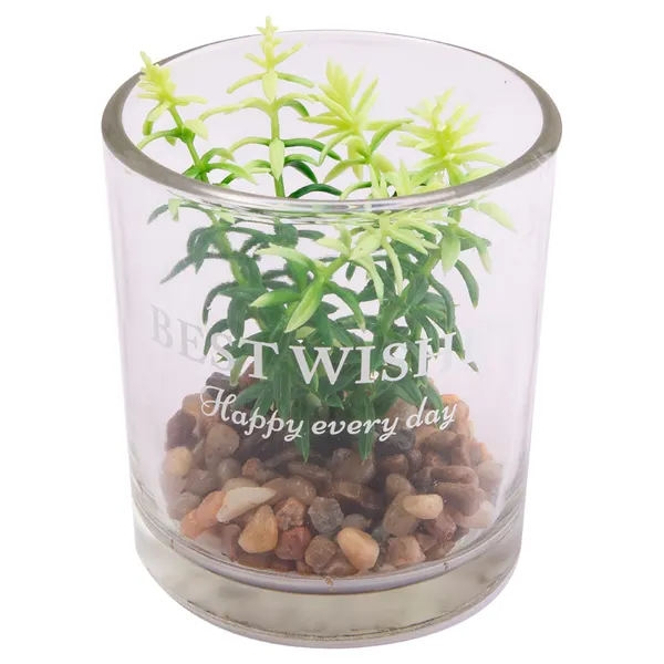 Foto 8 de Vaso Suculenta Sortido Harmonia Vidro E Plástico Pe 7x7x8cm LM3821 - honeyhome