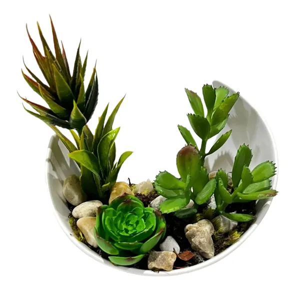 Foto 4 de Terrário Meia Lua Melamina com Suculenta Artificial Sortida DF226 - Dila Flores