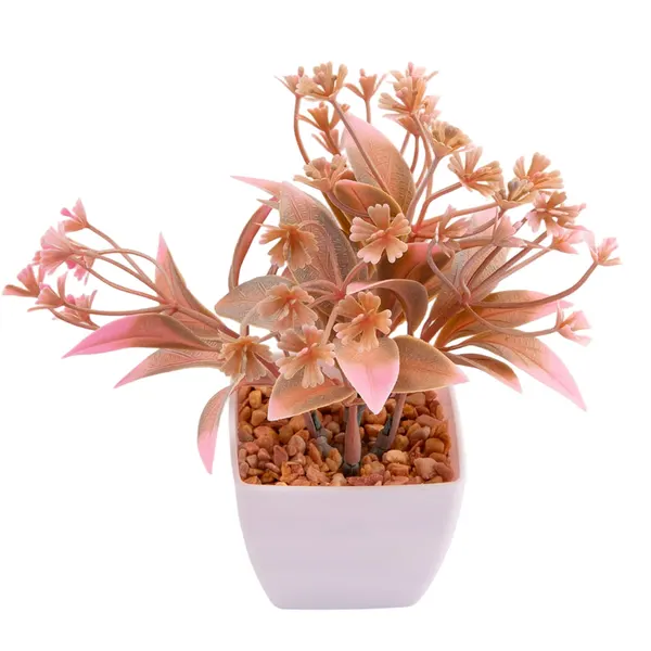 Foto 2 de Suculenta Sortido Harmonia Plástico Pp E Pe 5,5x5,5x14cm LM3829 - honeyhome
