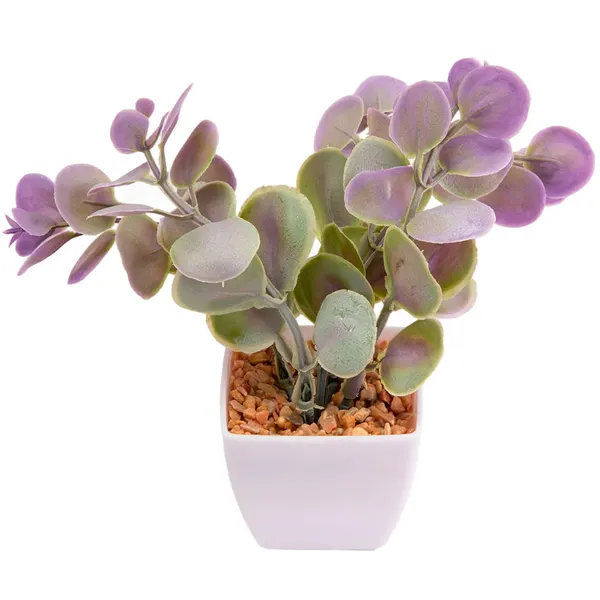 Foto 3 de Suculenta Sortido Harmonia Plástico Pp E Pe 5,5x5,5x14cm LM3829 - honeyhome