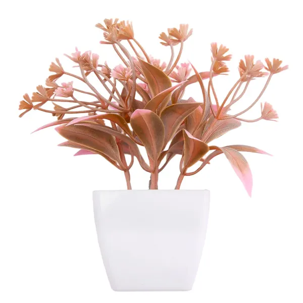 Foto 5 de Suculenta Sortido Harmonia Plástico Pp E Pe 5,5x5,5x14cm LM3829 - honeyhome