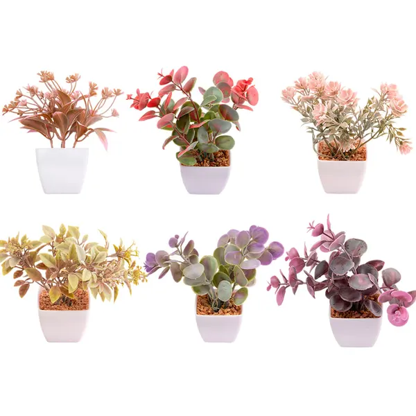 Suculenta Sortido Harmonia Plástico Pp E Pe 5,5x5,5x14cm LM3829 - honeyhome