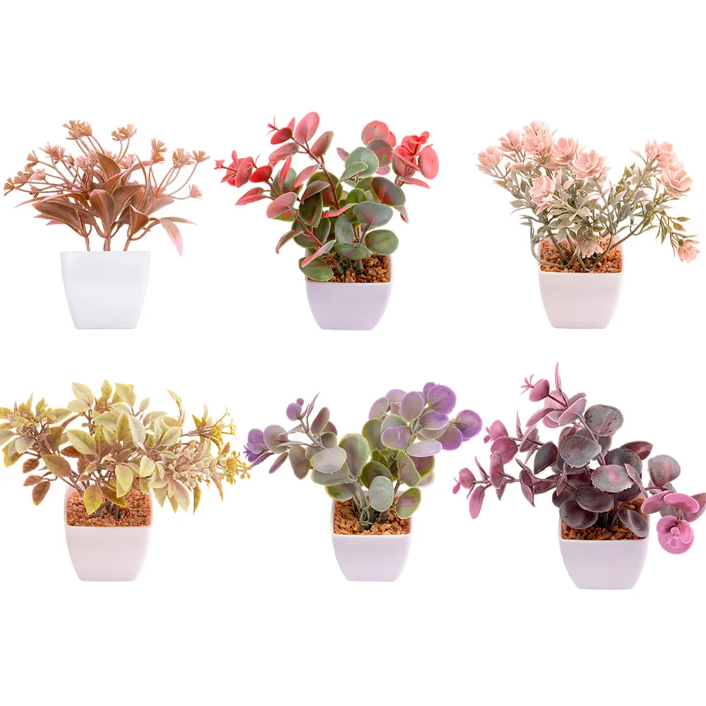 Suculenta Sortido Harmonia Plástico Pp E Pe 5,5x5,5x14cm LM3829 - honeyhome