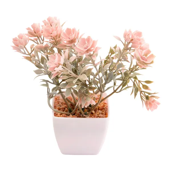 Foto 7 de Suculenta Sortido Harmonia Plástico Pp E Pe 5,5x5,5x14cm LM3829 - honeyhome