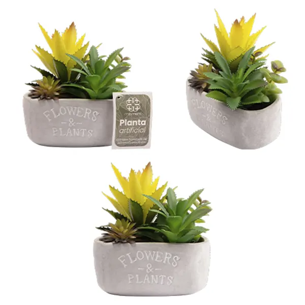 Foto 2 de Planta Artificial Suculentas Em Pvc Vaso Cimento Flowers & Plants 13,5x8x16cm 5385 - Moment