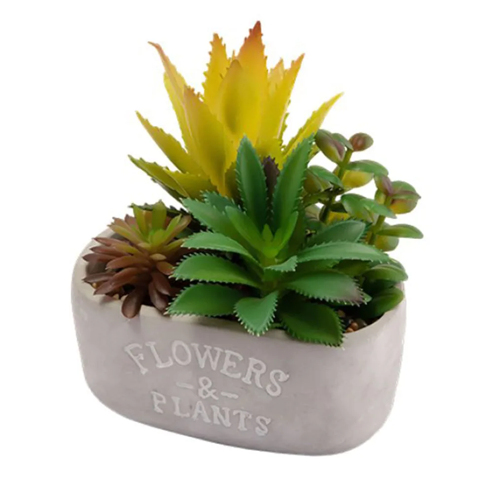 Planta Artificial Suculentas Em Pvc Vaso Cimento Flowers & Plants 13,5x8x16cm 5385 - Moment